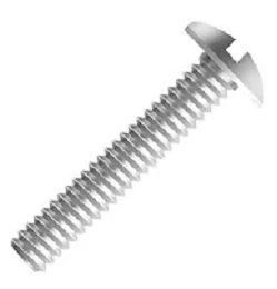 lentilha png